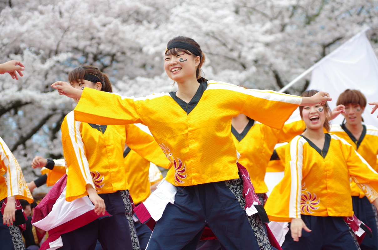 京都さくらよさこい２０１５一日目その１６（関西大学学生チーム”漢舞”その２）_a0009554_19531596.jpg