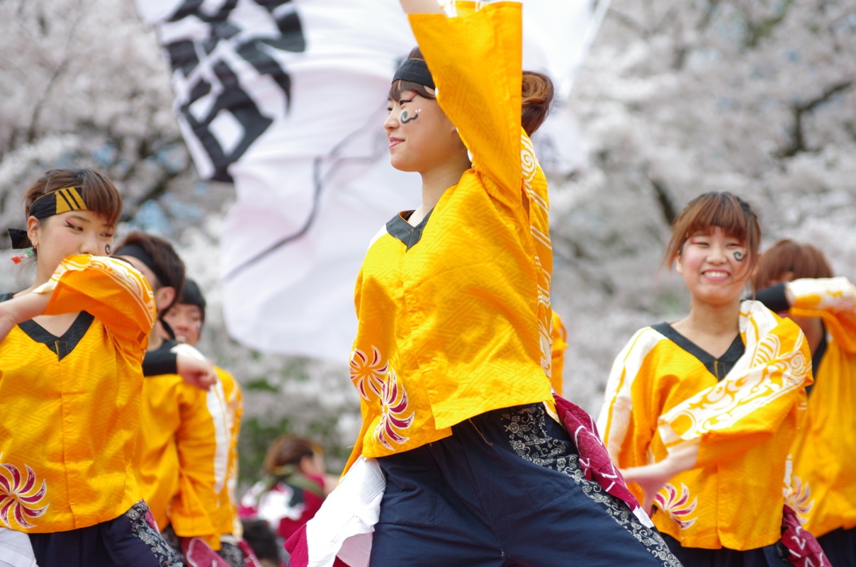 京都さくらよさこい２０１５一日目その１６（関西大学学生チーム”漢舞”その２）_a0009554_1953554.jpg