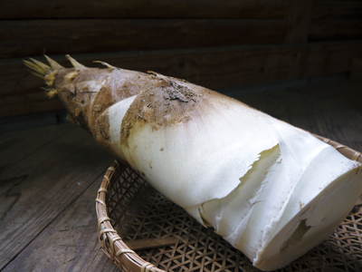 幻の白い「長生たけのこ」 今、まさに最旬!これぞ本物の逸品です!_a0254656_16405257.jpg