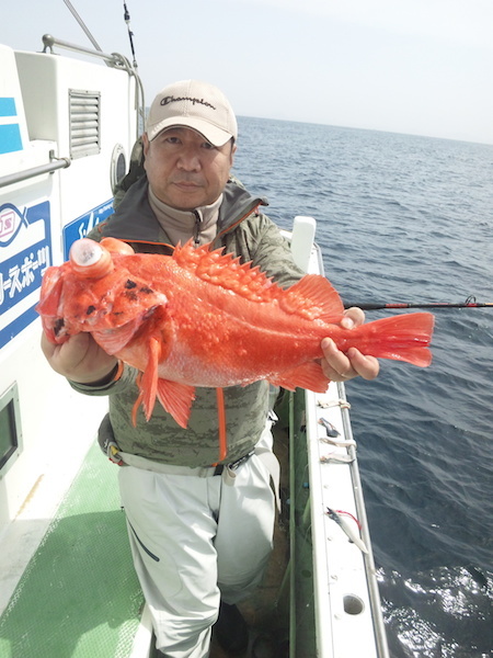 f0214557_15501786.jpg