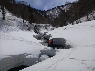 d0110562_8232746.jpg