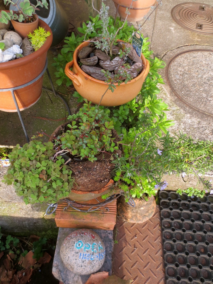 鍋も植木鉢も 宇吉より愛をこめて 鍋も植木鉢も 宇吉より愛をこめて