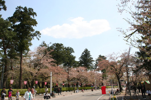b0098271_18252750.jpg