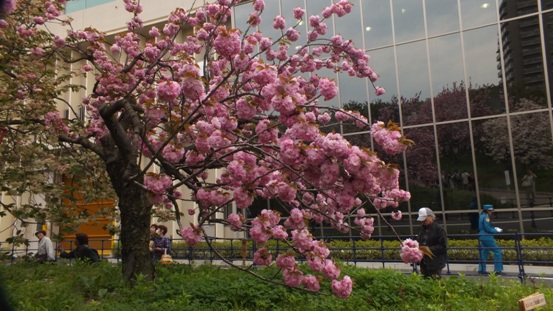 b0214473_13443143.jpg