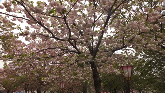 b0214473_13451328.jpg