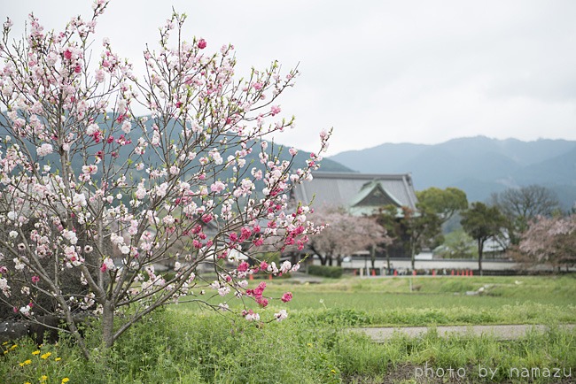 明日香村散歩（風景1）_b0280176_10473638.jpg