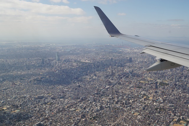 d0181492_2016422.jpg