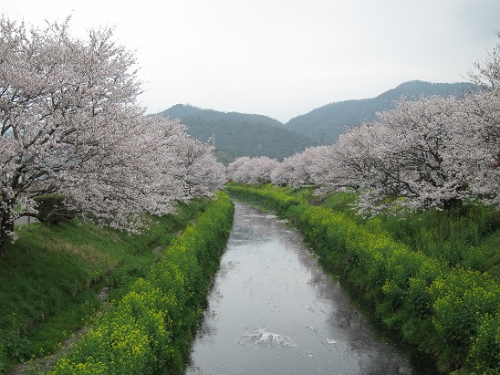 f0224492_10295769.jpg