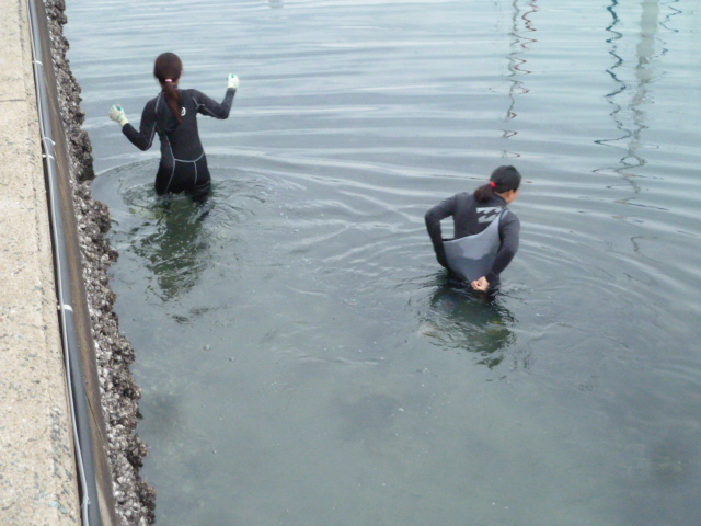 f0166694_2047260.jpg