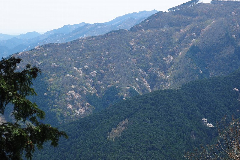 a0293295_7143316.jpg