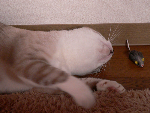 新しいおもちゃ_a0333195_07052978.png