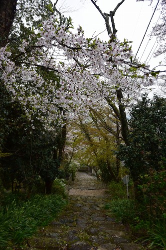 桑実寺→永源寺_c0124100_1342778.jpg