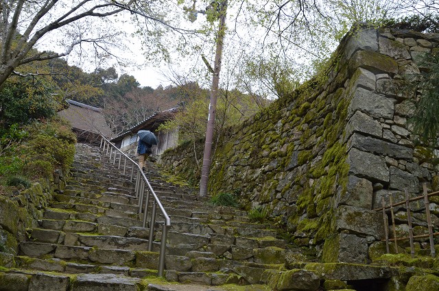 桑実寺→永源寺_c0124100_1345331.jpg