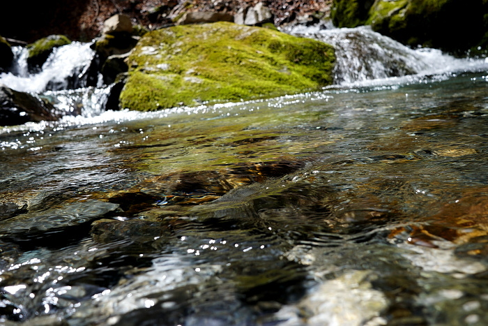 c0339900_11105025.jpg