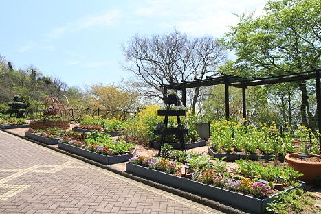 c0366802_20222718.jpg