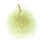 d0046702_801299.gif