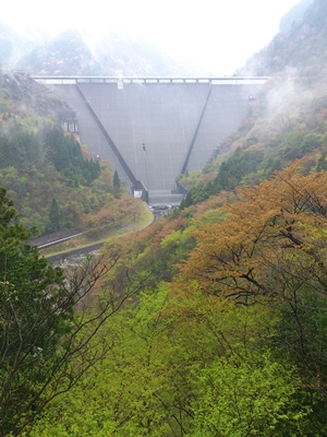 春の砥峰高原_e0289203_16132130.jpg