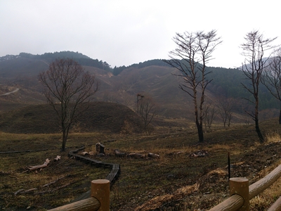 春の砥峰高原_e0289203_1617436.jpg