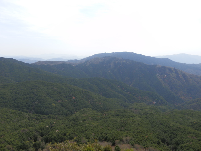 f0219710_815280.jpg