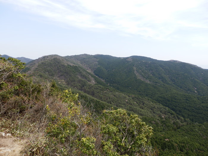 f0219710_81760.jpg