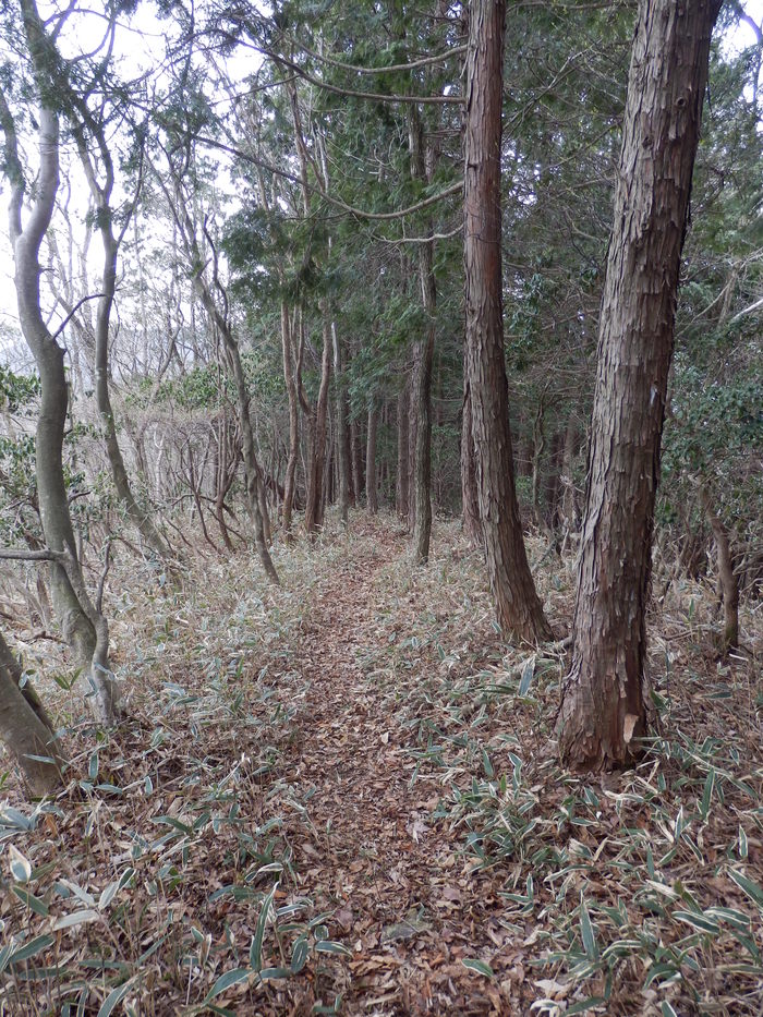 f0219710_8231867.jpg