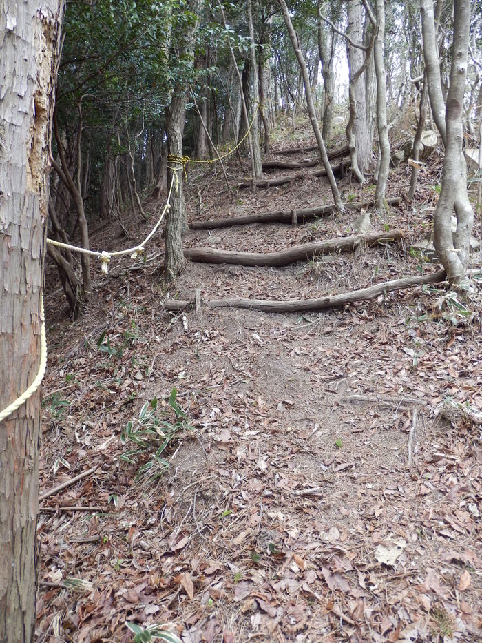 f0219710_8282564.jpg
