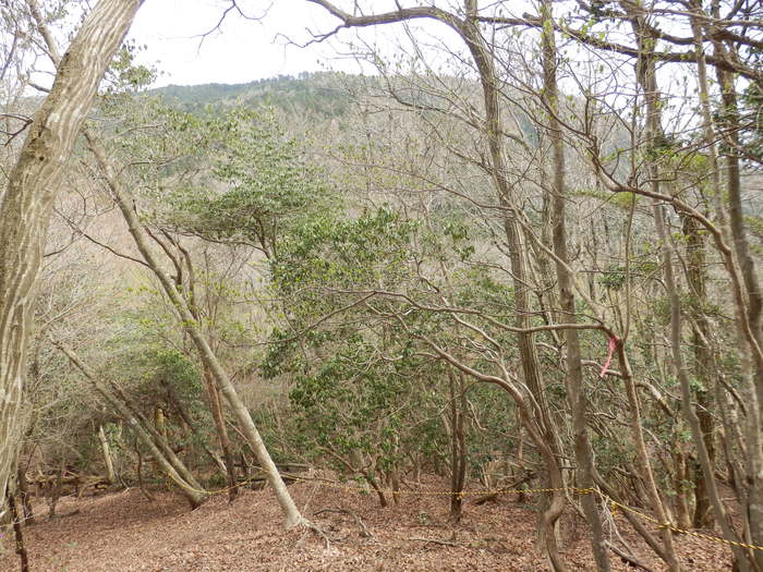 f0219710_8352244.jpg