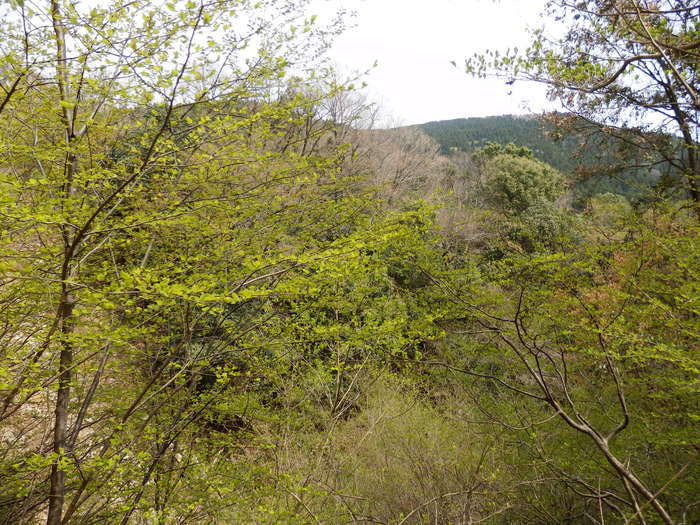 f0219710_8421235.jpg
