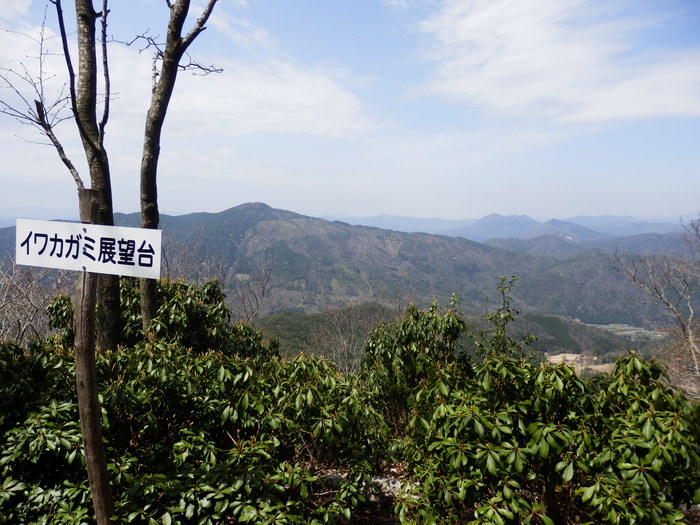 f0219710_89798.jpg