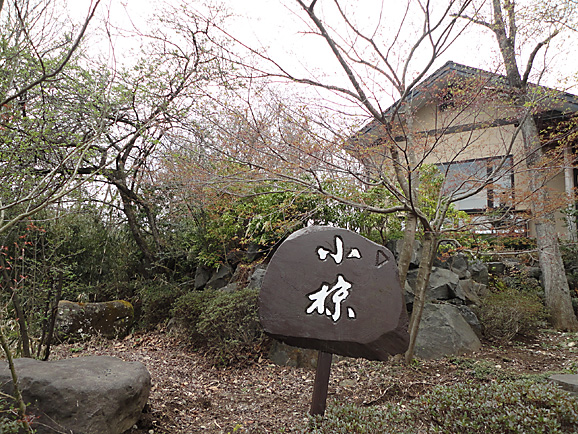 那須2015 小椋でお蕎麦ランチ_e0230011_1921960.jpg