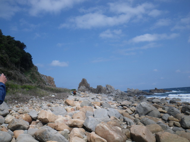 野北海岸の磯巡り_d0006512_08373507.jpg