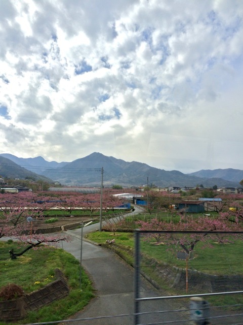 f0274713_16444810.jpeg