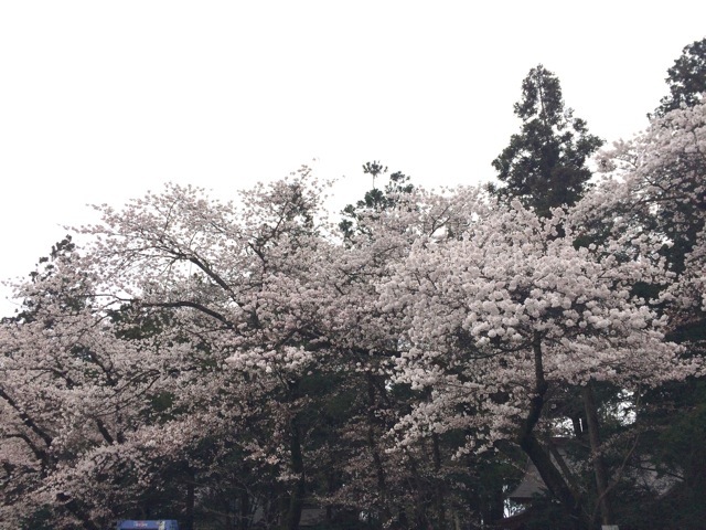 f0274713_16445071.jpeg