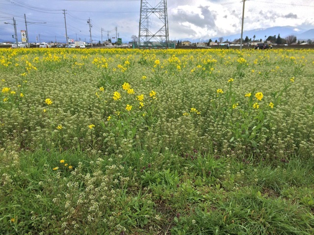 f0274713_16445275.jpeg