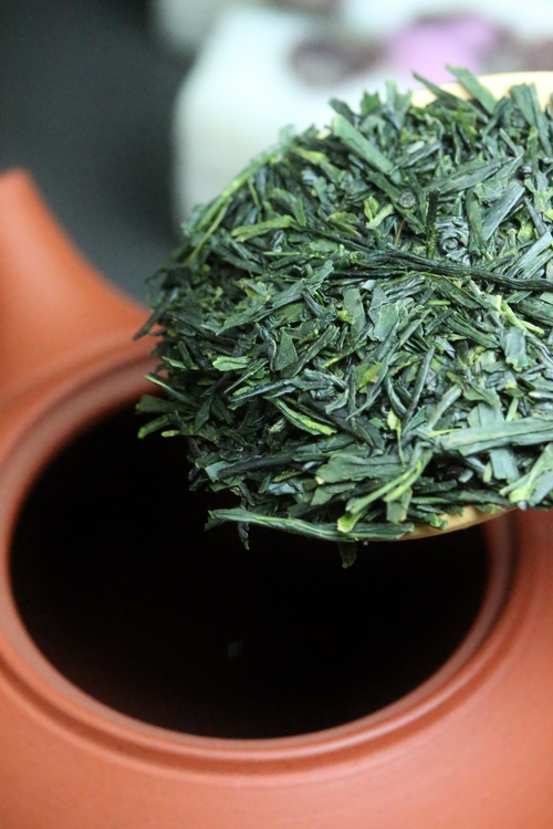 暮らしに素敵な日本茶を! 4月_b0220318_14185554.jpg