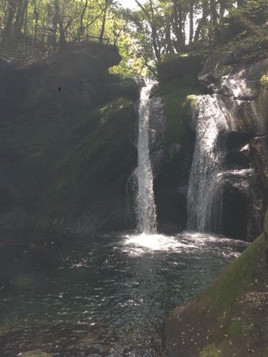e0224118_125849.jpg