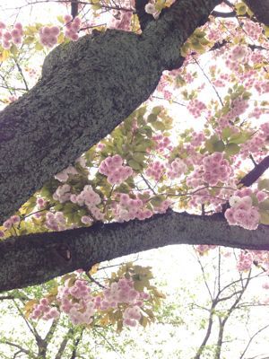 吉田松陰の 松陰神社に詣でる １_d0251120_2351824.jpg