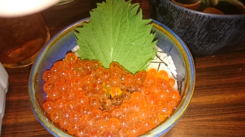 またまた_e0124021_18404349.jpg