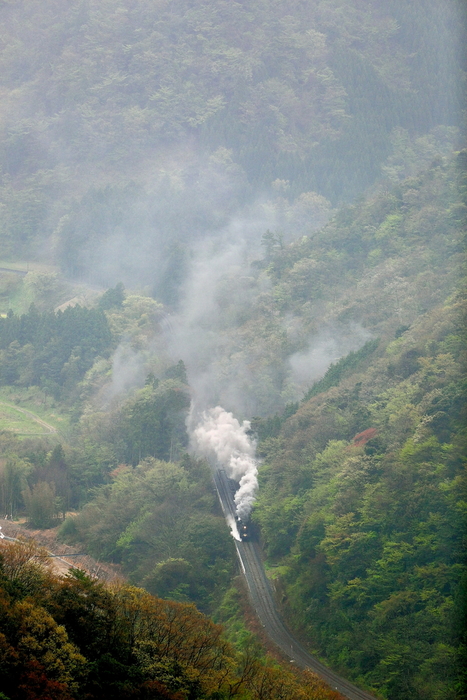 SL山口号4月19日9522_f0333821_21575788.jpg