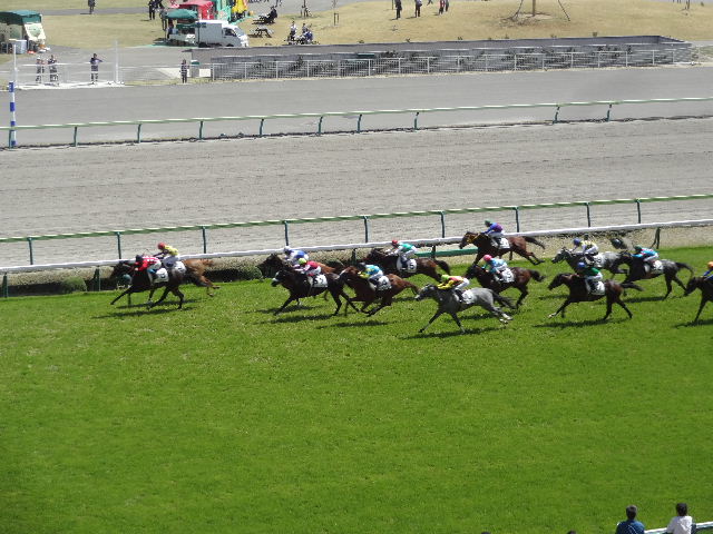 c0141223_13183521.jpg