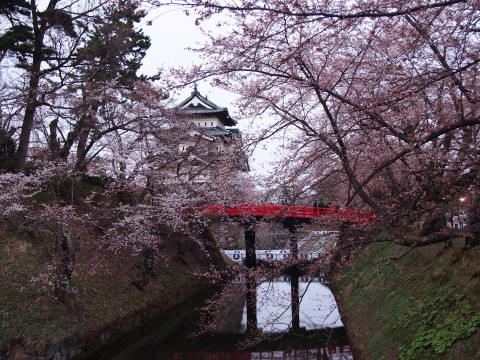 弘前公園桜*2015.04.19_b0147224_21493586.jpg