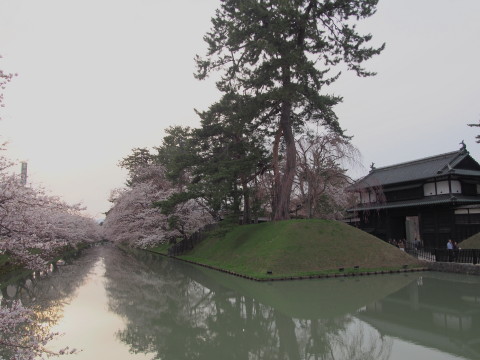 弘前公園桜*2015.04.19_b0147224_2152458.jpg