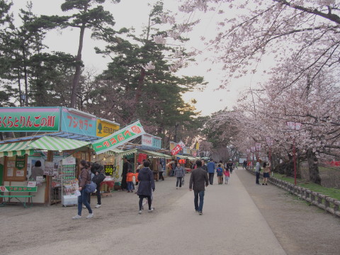 弘前公園桜*2015.04.19_b0147224_21531514.jpg
