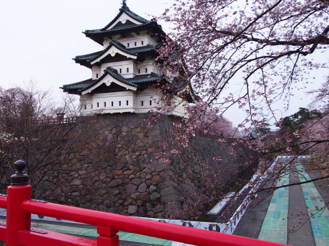 弘前公園桜*2015.04.19_b0147224_2158794.jpg