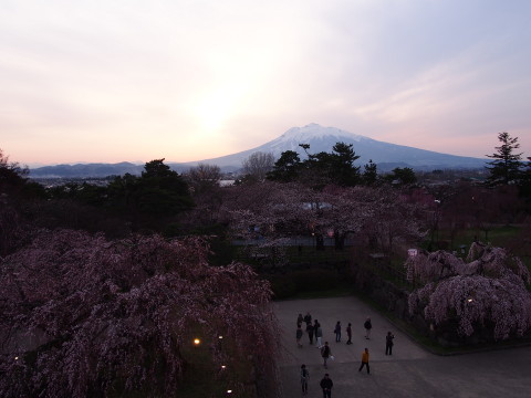 弘前公園桜*2015.04.19_b0147224_2212899.jpg