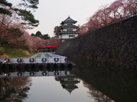 弘前公園桜*2015.04.19_b0147224_2221734.jpg
