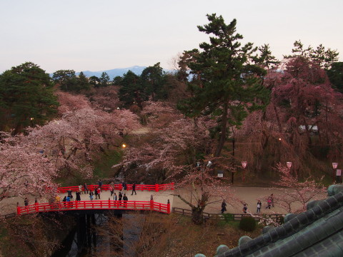 弘前公園桜*2015.04.19_b0147224_2241999.jpg