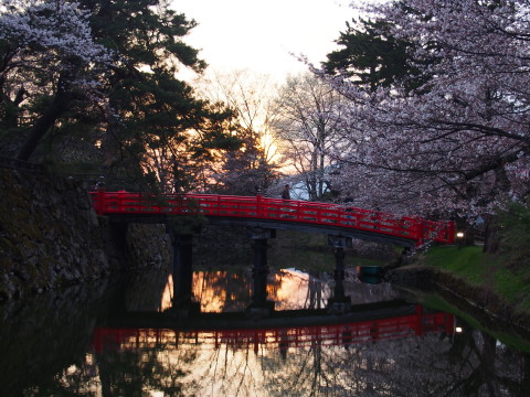 弘前公園桜*2015.04.19_b0147224_225188.jpg