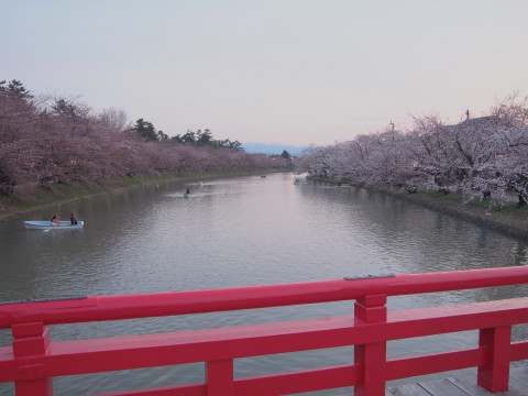 弘前公園桜*2015.04.19_b0147224_2291191.jpg