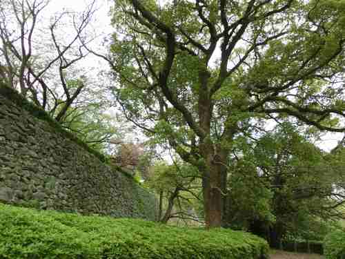 福岡城址（舞鶴公園）を歩く_b0008825_14135486.jpg